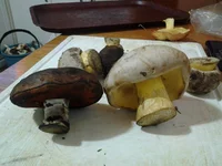 20120908_203843.jpg
