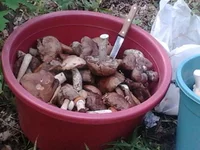 2012-09-08 14.35.38.webp