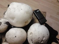 2012-09-08 22.30.01.webp