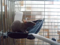  009.webp