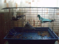  010.webp