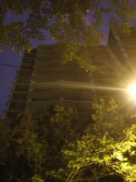 DSCF1135.webp