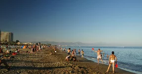 DSC02812.webp