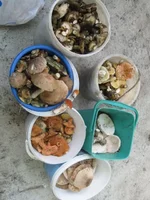 img1430x.jpg