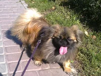 0038_001.webp