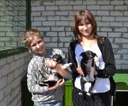 _z934EgRRpk.webp