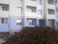 0363.webp
