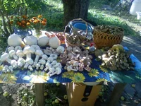 PIC-0007.jpg