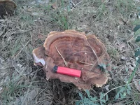 2012-09-09 09.59.21.webp