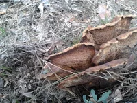 2012-09-09 09.59.44.webp