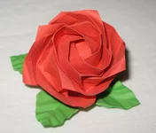 Роза Кавасаки.jpg
