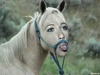 sobchak.webp
