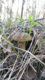  размера Поворот IMG_1728.webp