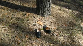  размера IMG_1729.webp