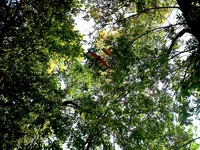 IMG324 копия-1а.webp