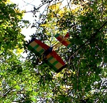 IMG324 копия-1.webp