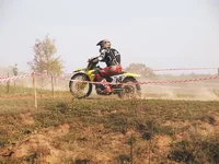 OL159499.webp