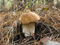 IMG_4640.jpg