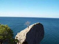 100_1784.webp