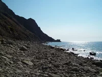 100_1796.webp