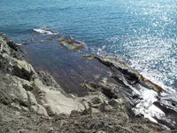 100_1804.webp