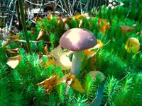 20120101_085338_hf1.jpg