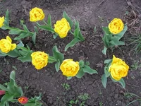 IMG_1849.webp