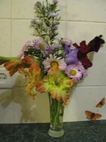 IMG_2635.webp