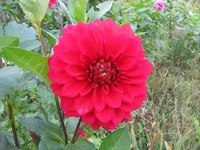 IMG_2720.webp