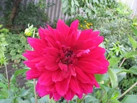 IMG_2721.webp