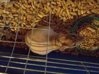  008.webp