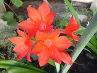 .webp