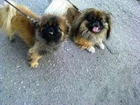 0690.webp