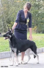  и женя в стойке.webp
