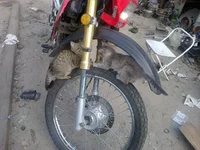 20092012002.webp 20092012002.webp