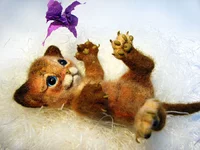 cat-4-2.webp