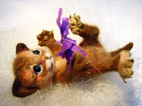 cat-4-5.webp