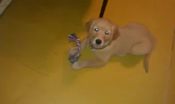 IMAG0012.webp