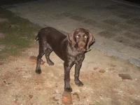 IMG_1550[1].webp