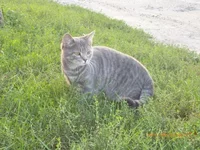 7bdfeb2e4cd6790bf28dc67f077973dd.webp