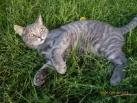 a859ce56078d874abed7da7a70362b9b.webp