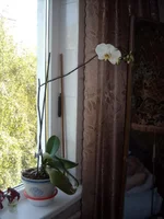 DSCN0086.webp