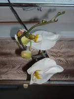 DSCN2070.JPG