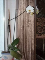 DSCN2071.JPG