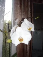 DSCN2095.JPG