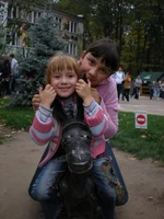  007.webp