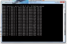 1.webp
