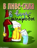 vpive-sila.webp