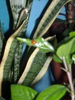 DSCN2076.JPG