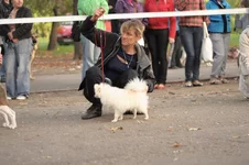 BYD_bfkeRJw.webp